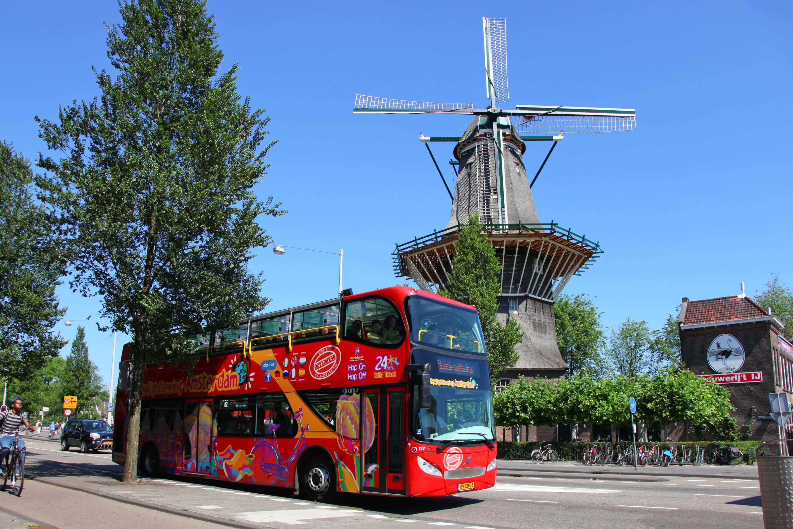 Amsterdam Hop-On Hop-Off Bus Tour + Canal Cruise
