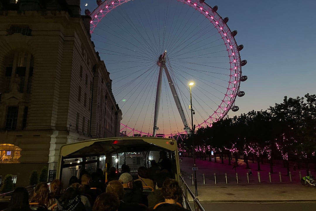 A photo of the London Eye at night.