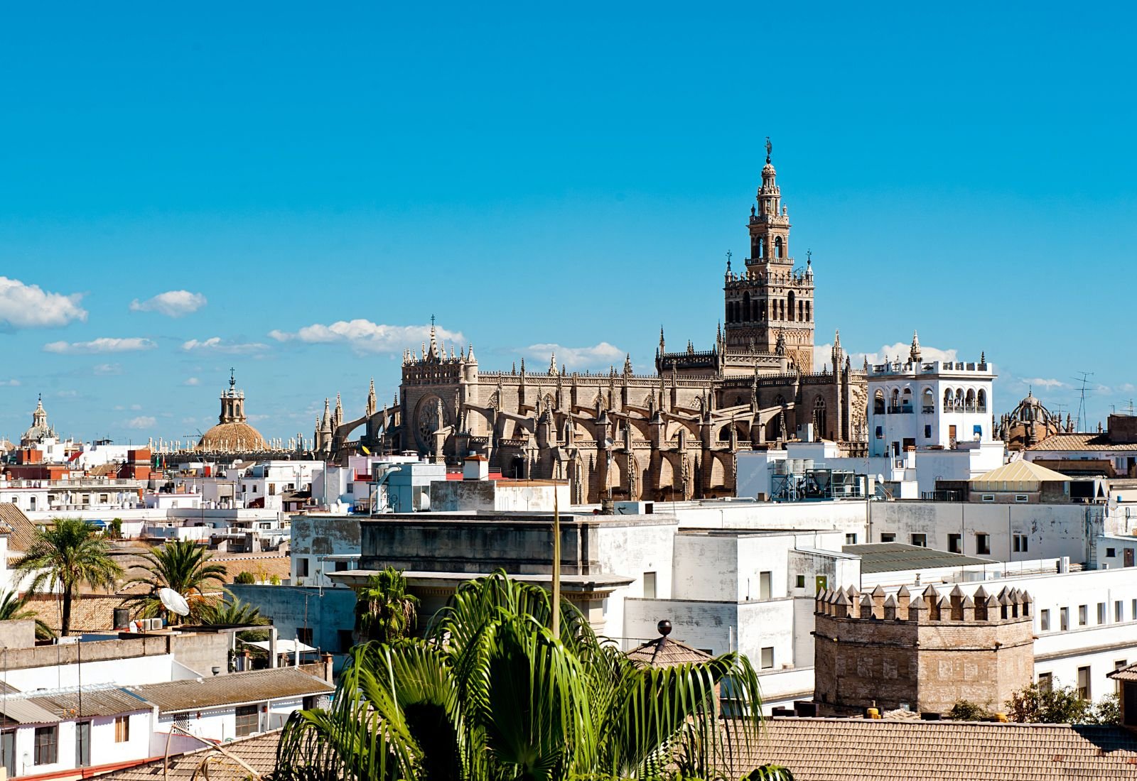 A photo of the Seville Cathedral from a distance.