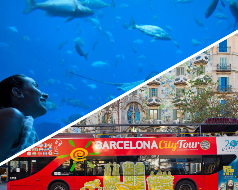 A split image, one half showing an aquarium, while the other half shows a Barcelona City Tour bus.