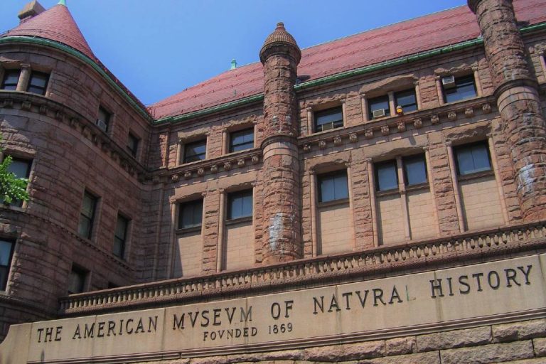 A photo of the exterior of the American Museum of Natural History.