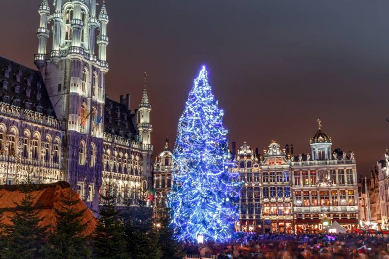 A photo of Brussels' Christmas tree.
